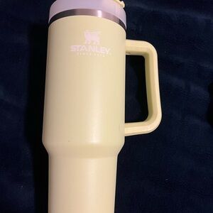 Stanley Lime Green Mug with Handle